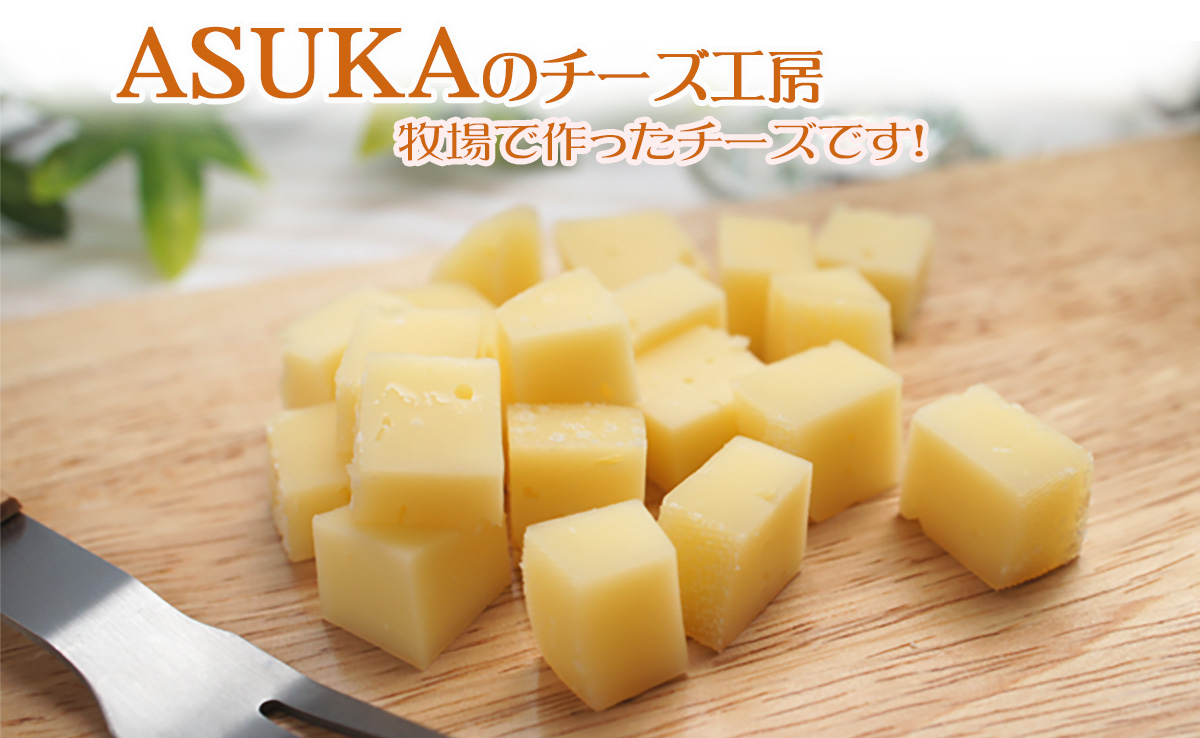 はじめのチーズ クラシュタイプ 50g盛付画像【ASUKA(アスカ）のチーズ工房】