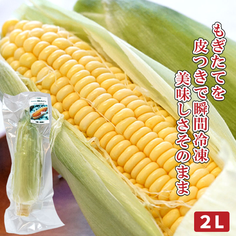 （極）凍結 凍とうもろこし 2L（約380g～450g）【函館 北海道フーズプランニング】