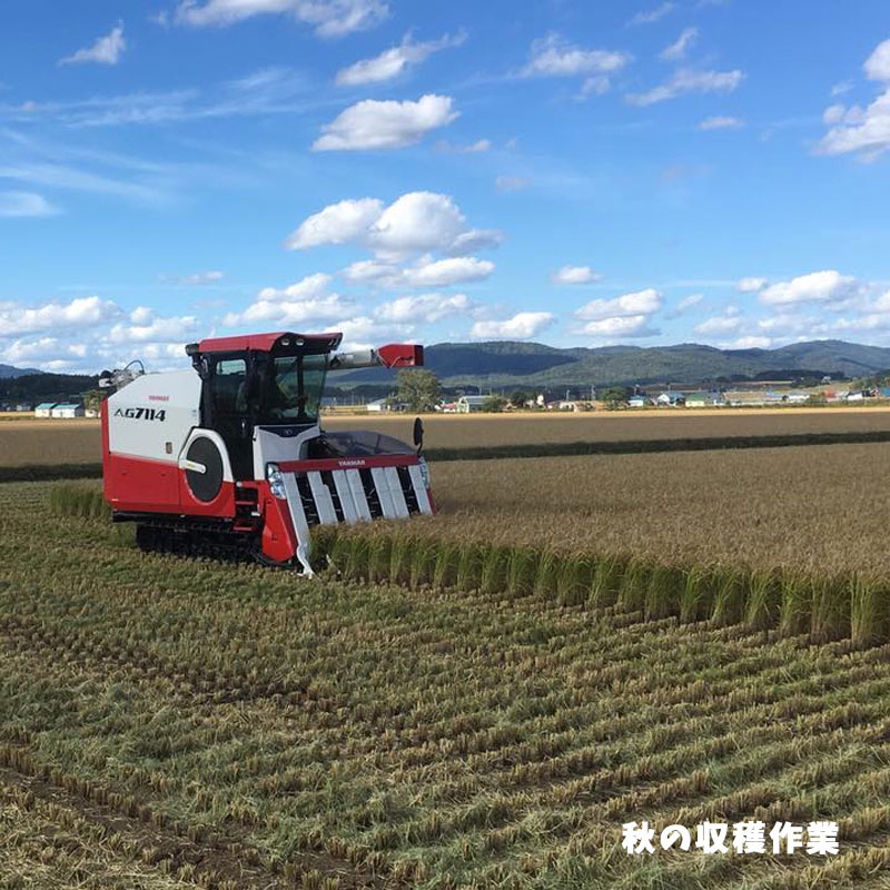 ななつぼし 農薬節減米 白米5kg 令和6年度北海道産（真空パック）【旭川 川添農園】 - 北海道発見市場【北市ドットコム】