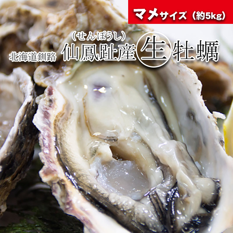 マメサイズ 大箱（約5kg）／北海道仙鳳趾産 殻付き牡蠣「昆布の森の牡蠣」【舎 こんの水産】