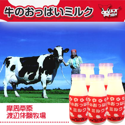 牛のおっぱいミルク白　牛乳5本セット【摩周草原 渡辺体験牧場】