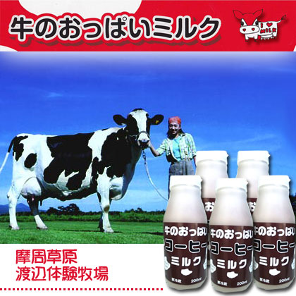 牛のおっぱいミルクコーヒー牛乳　5本セット【摩周草原 渡辺体験牧場】
