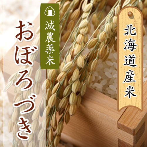 あじわいの里 中野商店 北海道産 減農薬米おぼろづき5kg 【三角山市場】
