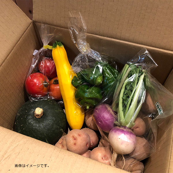 みのり彩園 季節の自然栽培野菜おまかせセットA【三角山市場ドットコム】