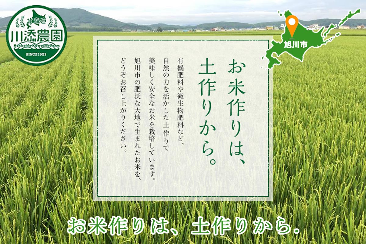 「農薬節減米」北海道産おぼろづき（玄米）10kg【旭川 川添農園】