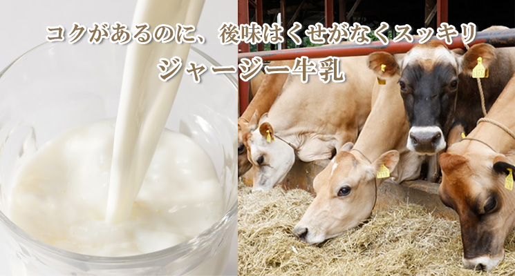 十勝加藤牧場ジャージーゴールデン牛乳 200mlメイン画像