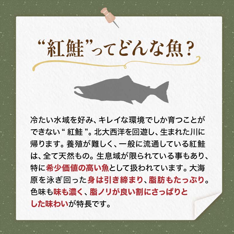 「紅鮭」は特に希少価値が高い魚として扱われています。