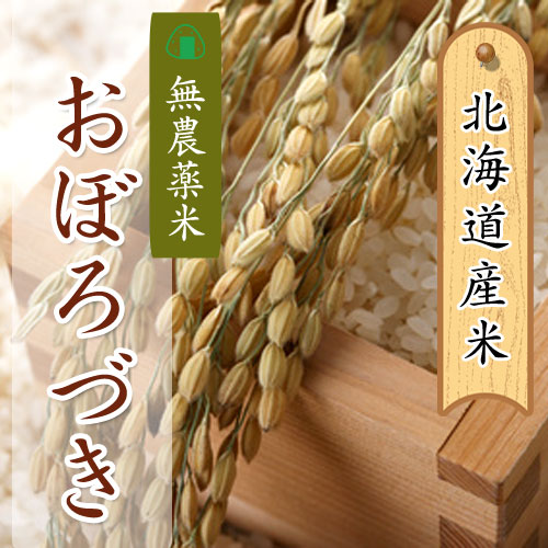 北海道産 無農薬米おぼろづき