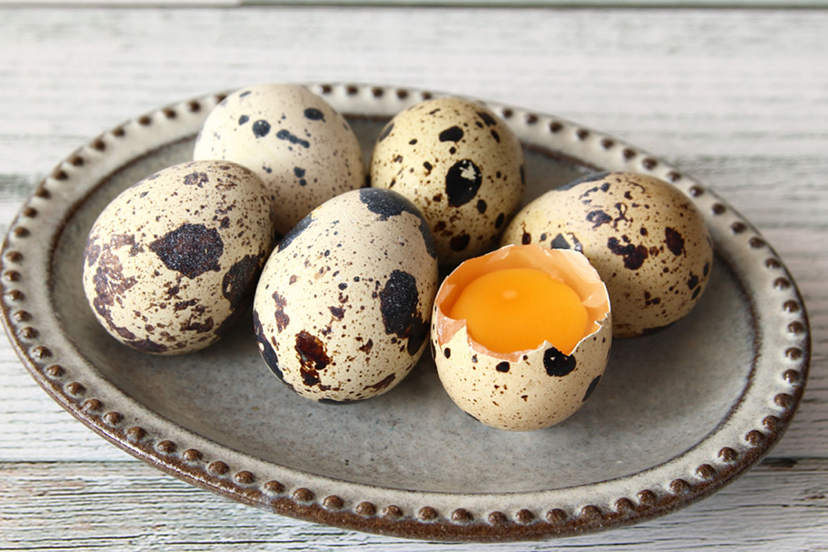 うずら卵の秘められたパワー。うずらの卵は、鶏卵に比べてアレルギー反応を起こしにくいと言われています。