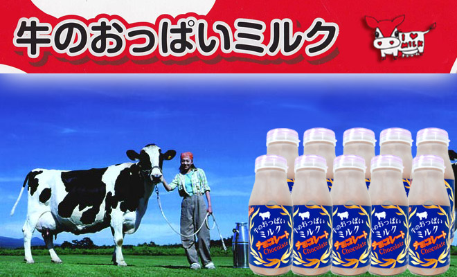 ミルクチョコレート牛乳 200ml×10本セット【摩周草原 渡辺体験牧場】