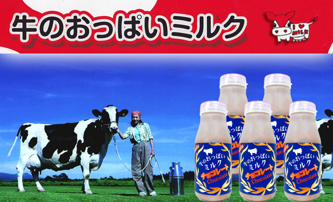 ミルクチョコレート牛乳 200mlx5本セット【摩周草原 渡辺体験牧場】